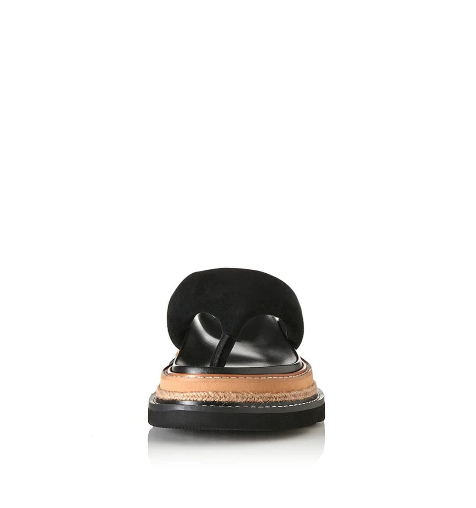 Alias Mae Footwear Vedi - Black Suede