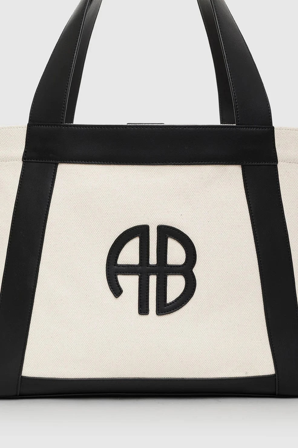 Anine Bing Handbags - Large Anine Bing | Cara Tote - Natural Canvas with Black