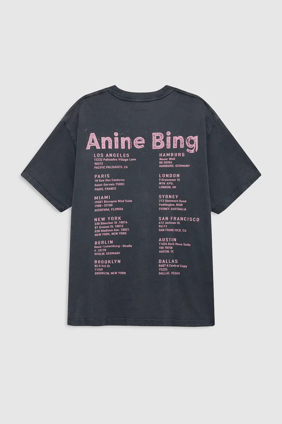 Anine Bing Tees Cade Tee Smiley - Washed Grey