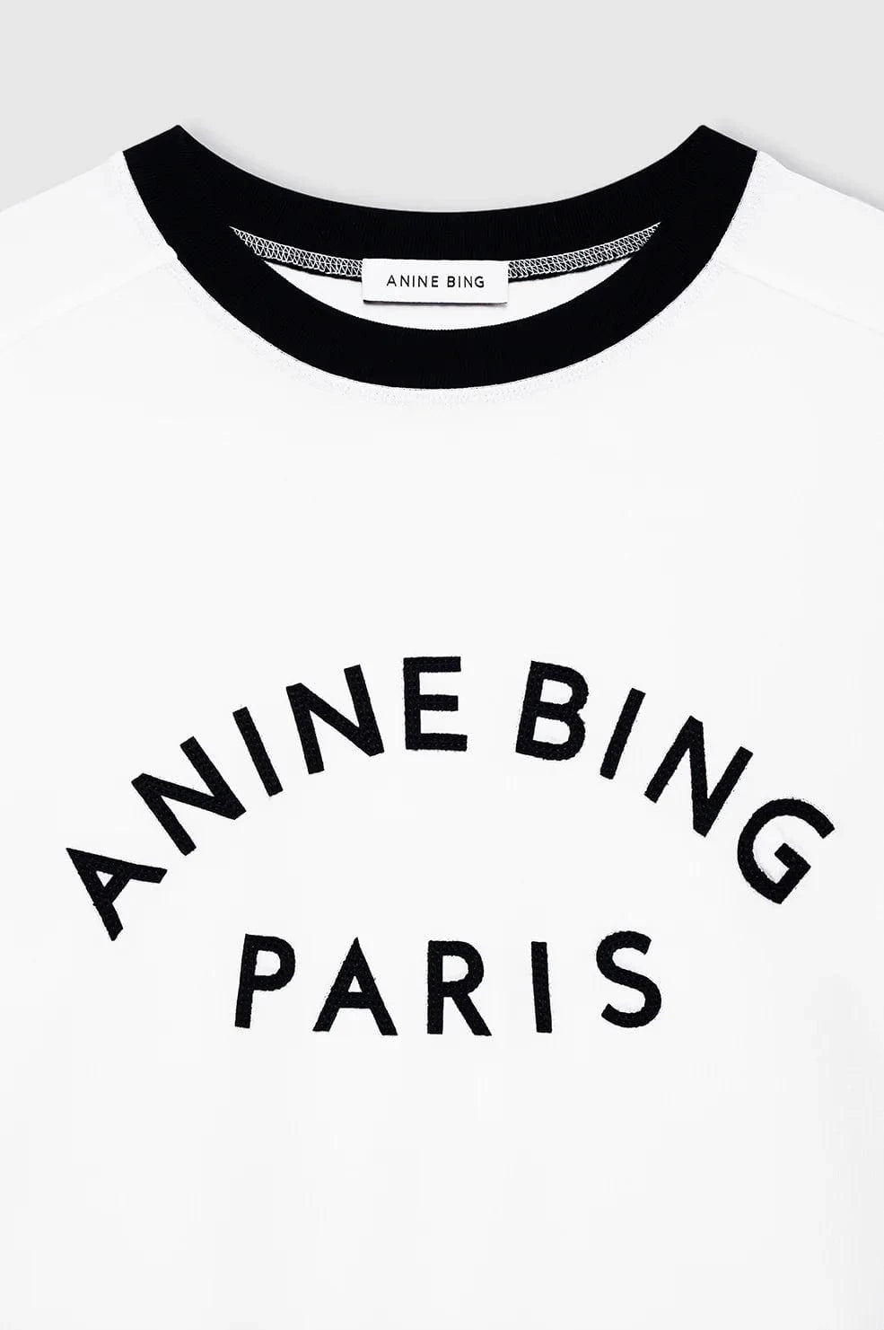 Anine Bing Tees Jaylin Tee Paris - Ivory *Pre-order*