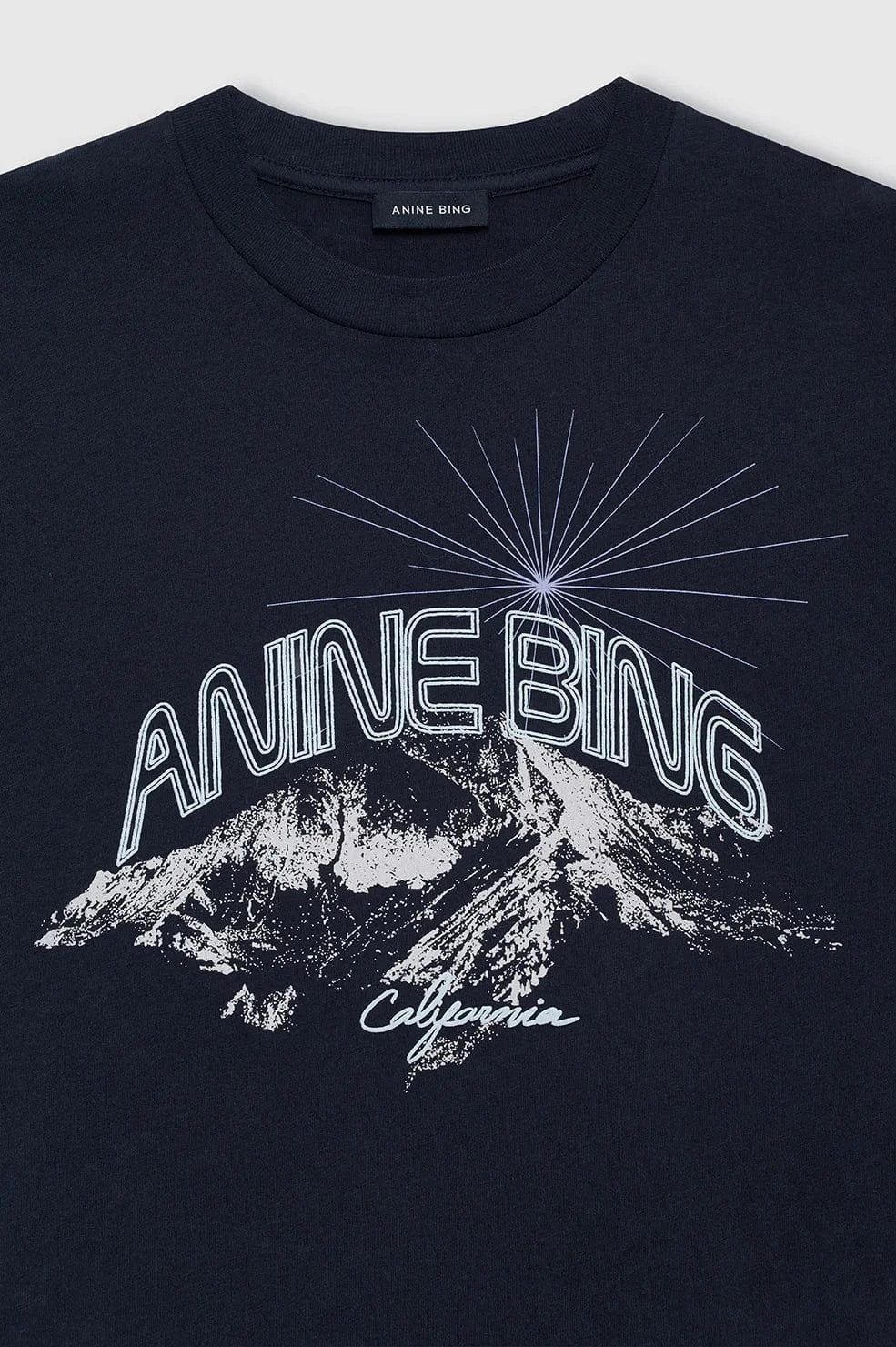 Anine Bing Tees Walker Tee California - Vintage Black