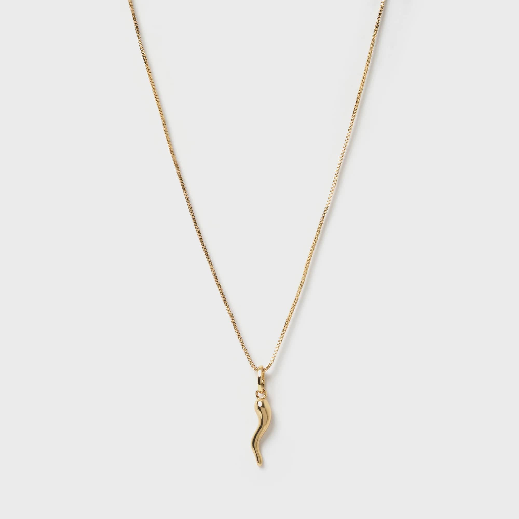 Arms Of Eve Necklaces Arms Of Eve | Cornicello Gold Charm Necklace