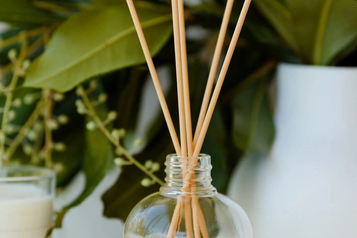 Grace & James Candles Grace & James | BARE  Reed Diffuser - Casablanca