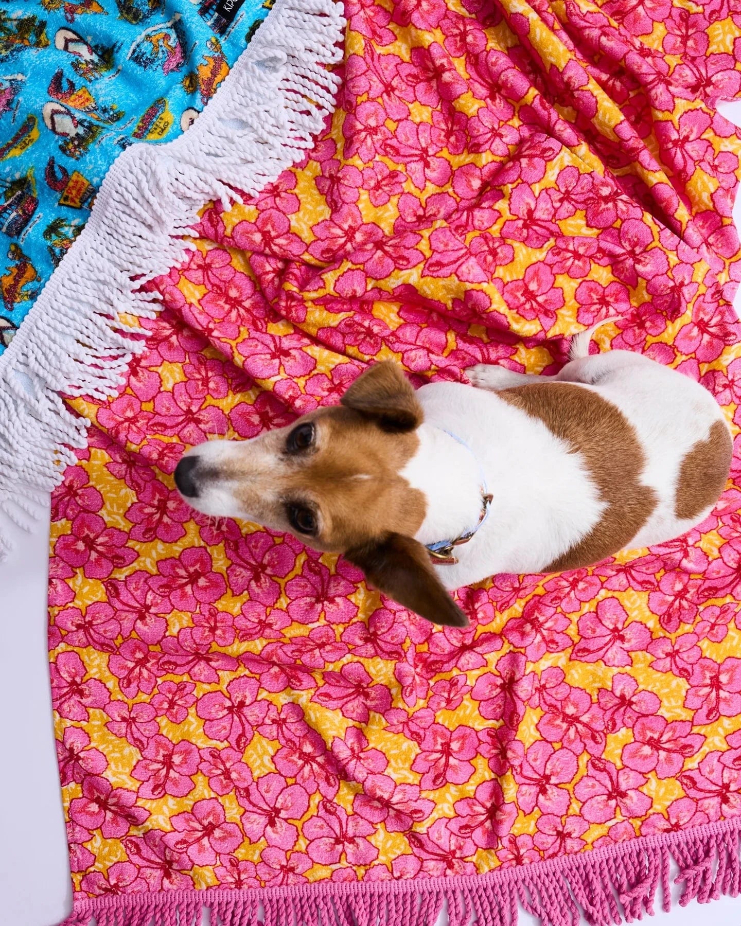 Kip & Co Towels Mambo Funshine Coast Printed Terry Beach Towel