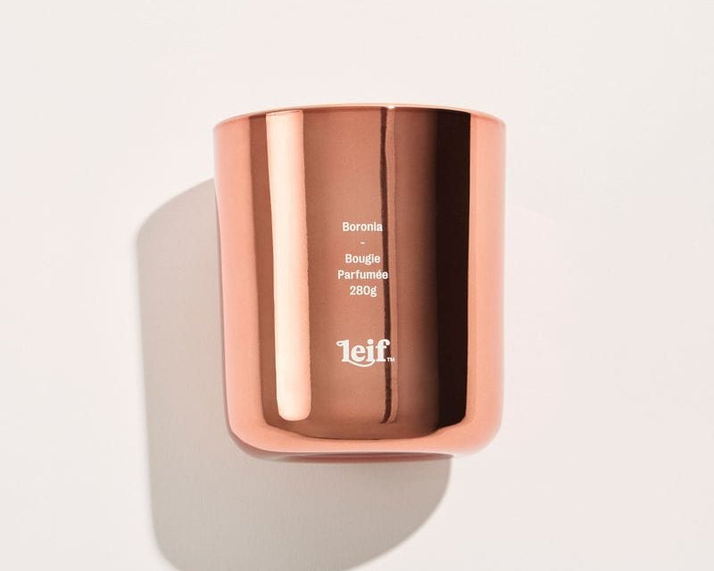 Leif Candles Limited Lux | Boronia Candle 280g