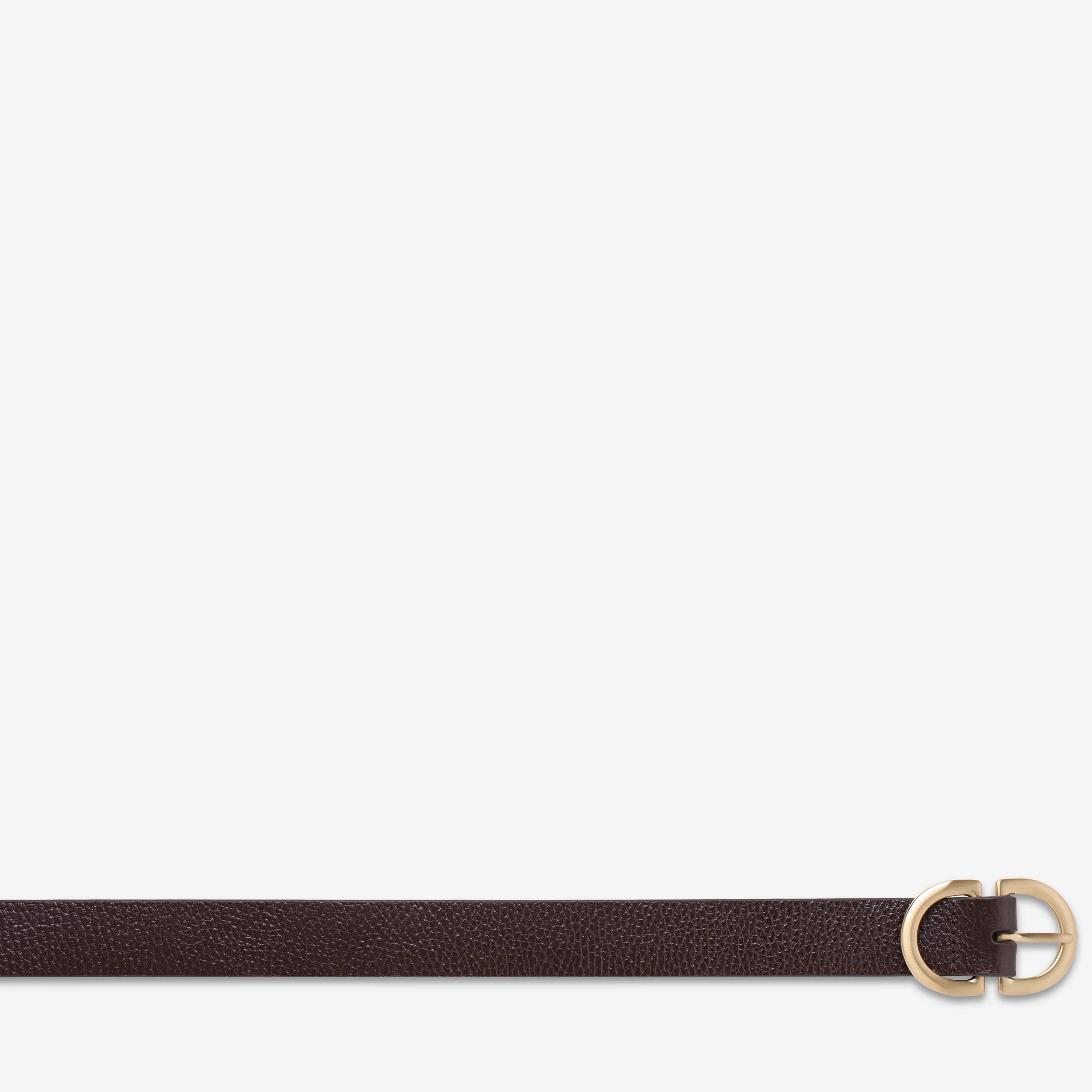 Status Anxiety | In Reverse Belt - Choc/Gold