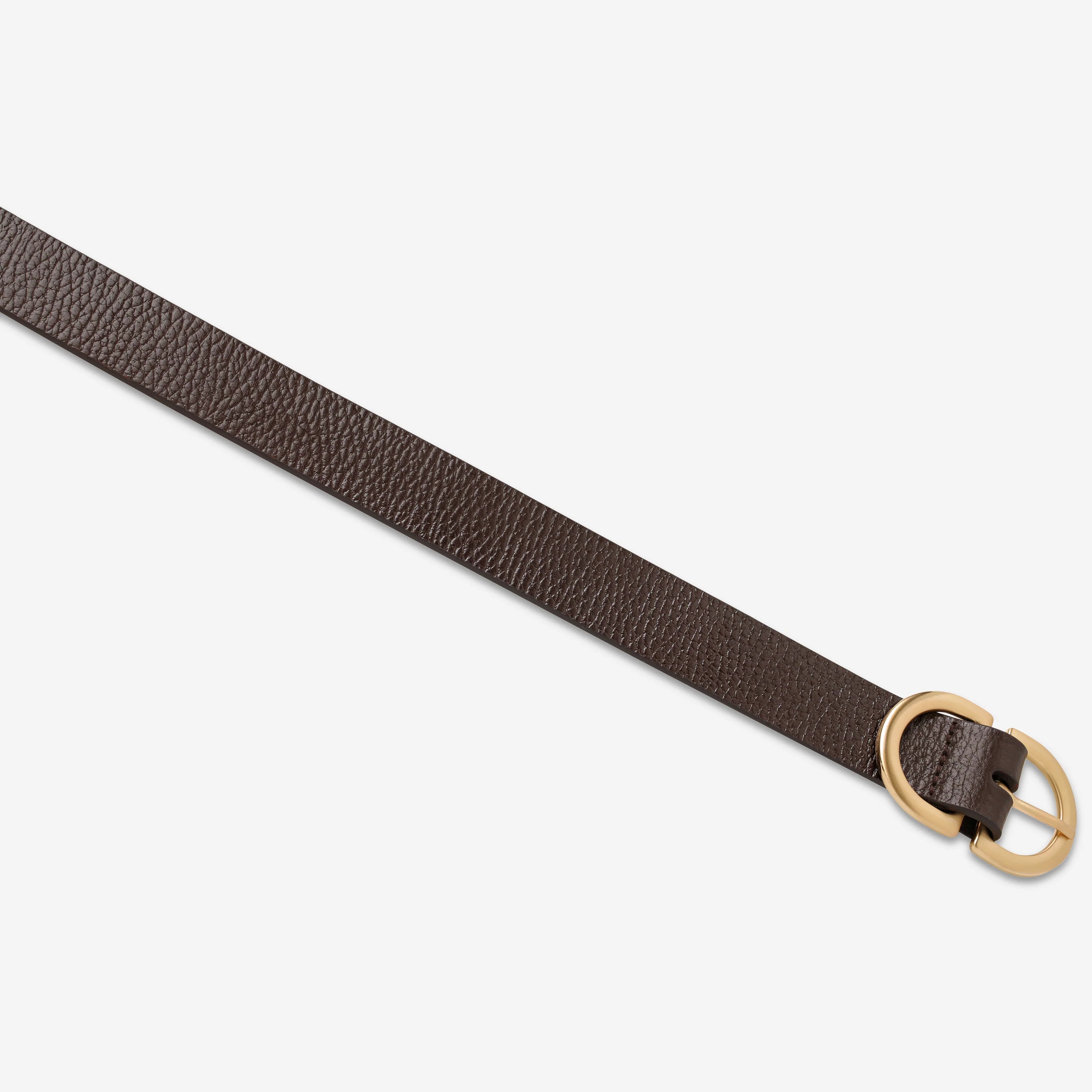 Status Anxiety | In Reverse Belt - Choc/Gold